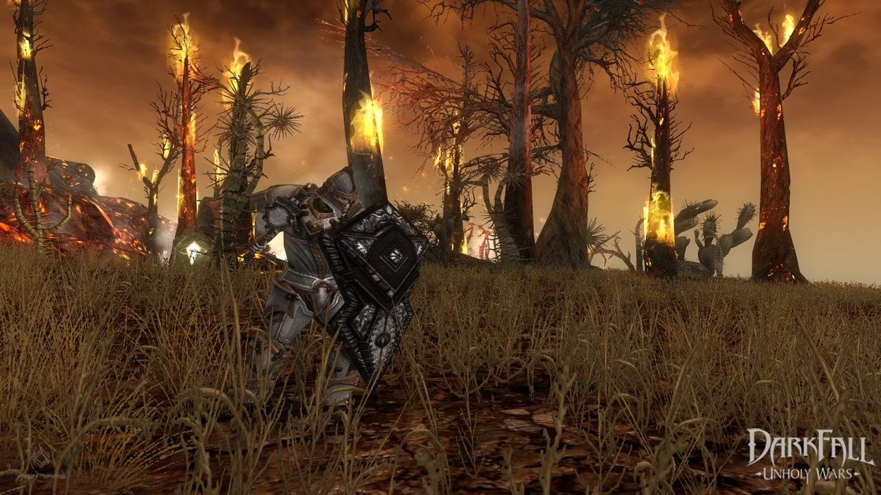 Steam adds subscription model, Darkfall: Unholy Wars first to use it - 2013-04-26 17:10:57