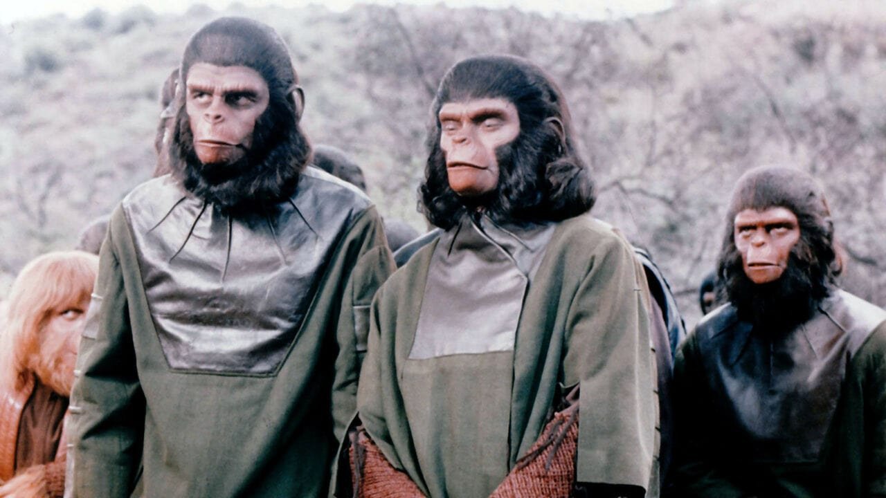 The Ranking Of The Apes 3