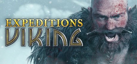 Expeditions: Viking Review- A Slightly Strategic RPG