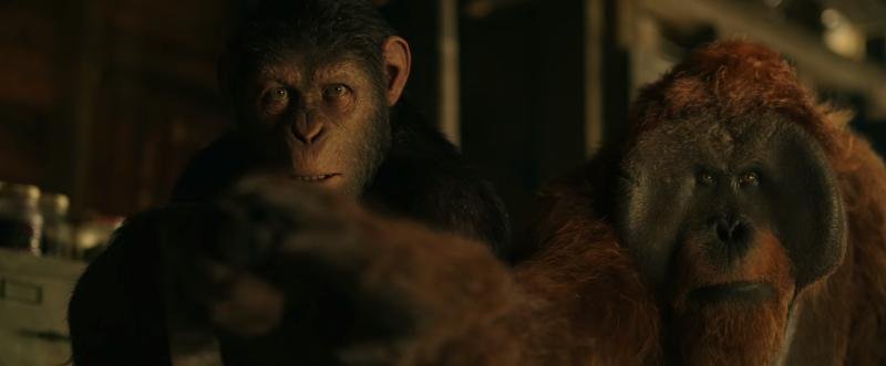 Karin Konoval Talks War For The Planet Planet Of The Apes - Interview 4
