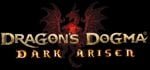 Dragon’s Dogma: Dark Arisen (PlayStation 4) Review - A Soulless Pawn 1