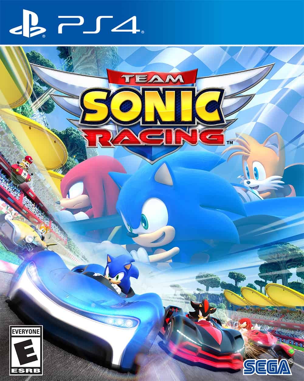 Team Sonic Racing Review 5