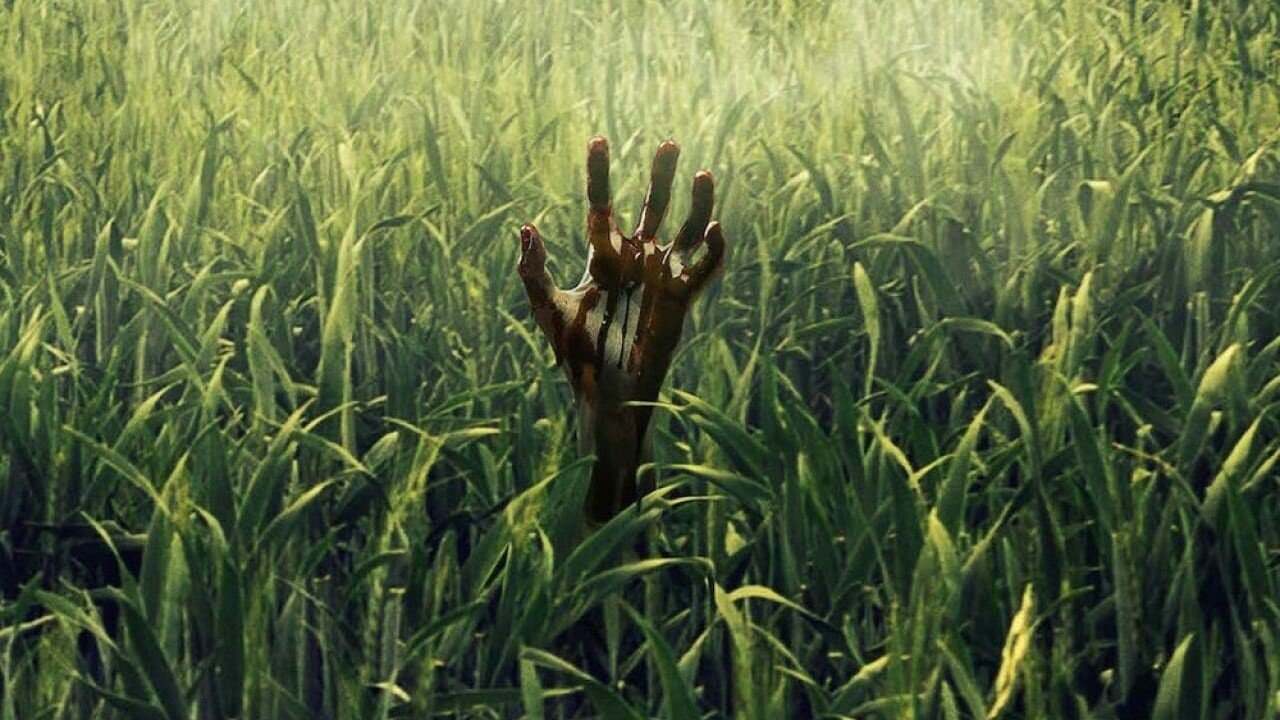 Netflix and Stephen King’s In The Tall Grass Releases October