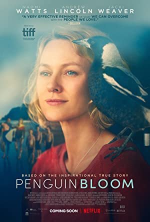 TIFF 2020 - Penguin Bloom Review 1