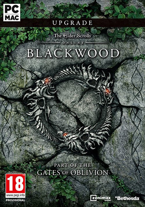 Elder Scrolls Online: Blackwood (PC) Review 6