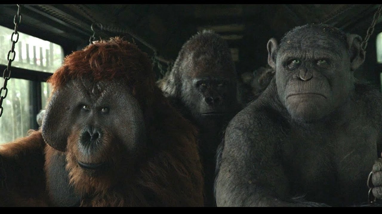 Karin Konoval Talks War For The Planet Planet Of The Apes - Interview