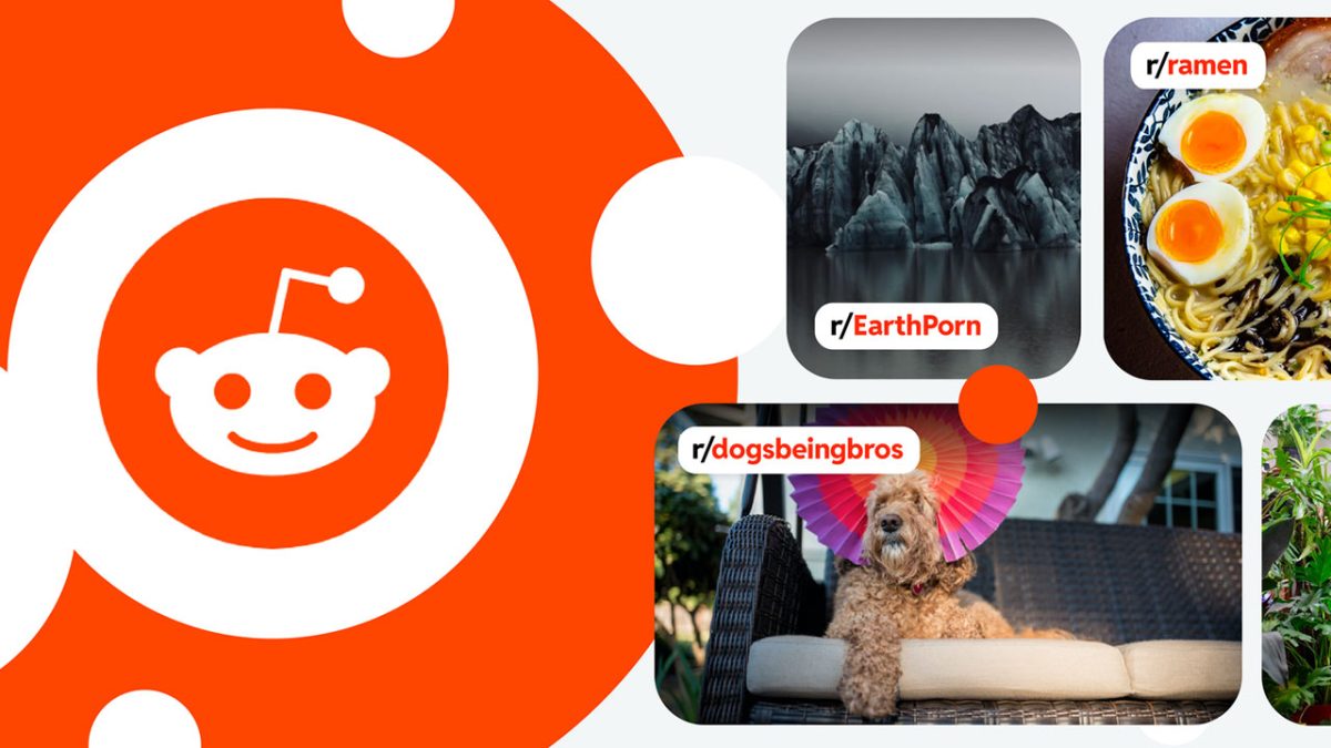 Reddit Reveals New Discover Tab To Promote Relevant Content For The User 3
