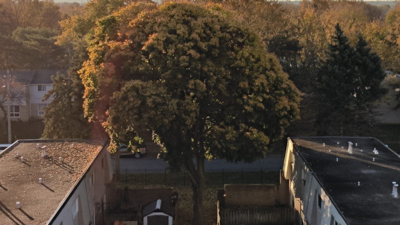 Xiaomi 12T Smartphone Review Xiaomi 12T Review 127186