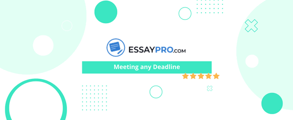 Best Essay Writing Services Key Features And Specifications 111289