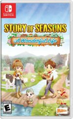 story of seasons a wonderful life box