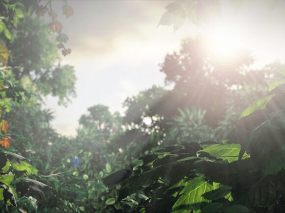 The Last of Us