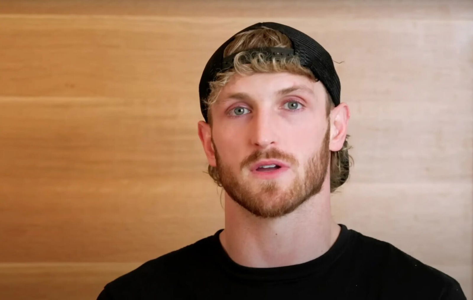 Logan Paul Has Launched Cryptozoo Refunds 1 Year After His Promise &Amp; There'S A Catch