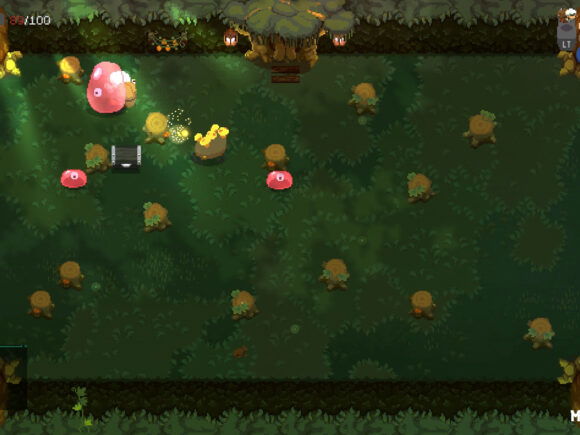 Moonlighter