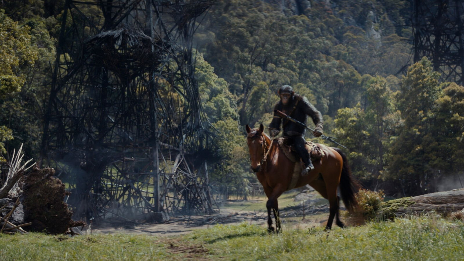 Kingdom Of The Planet Of The Apes Review Kingdom Of The Planet Of The Apes Review