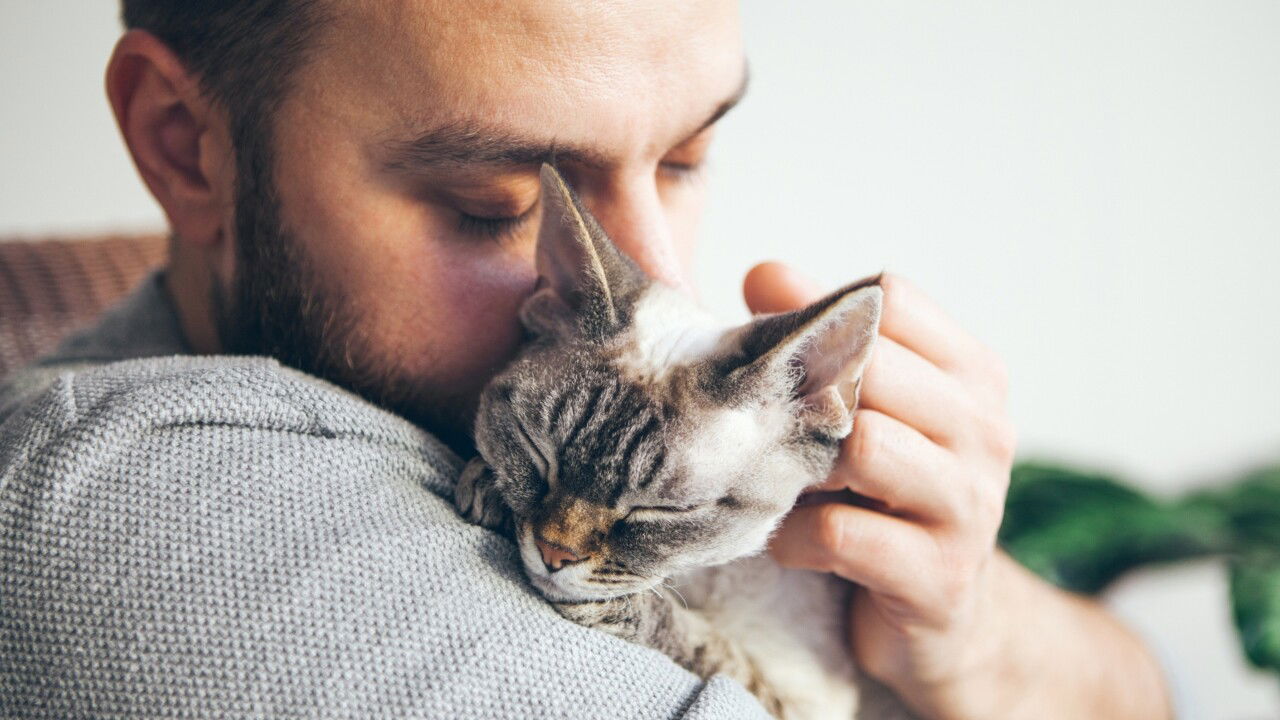 Toronto Humane Society Event Collabs With The Garfield Movie 2