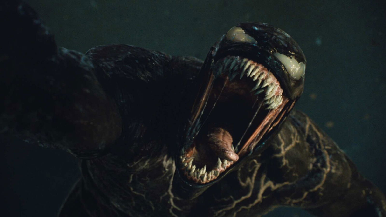 Venom: The Last Dance Official Trailer Is Out Now 2