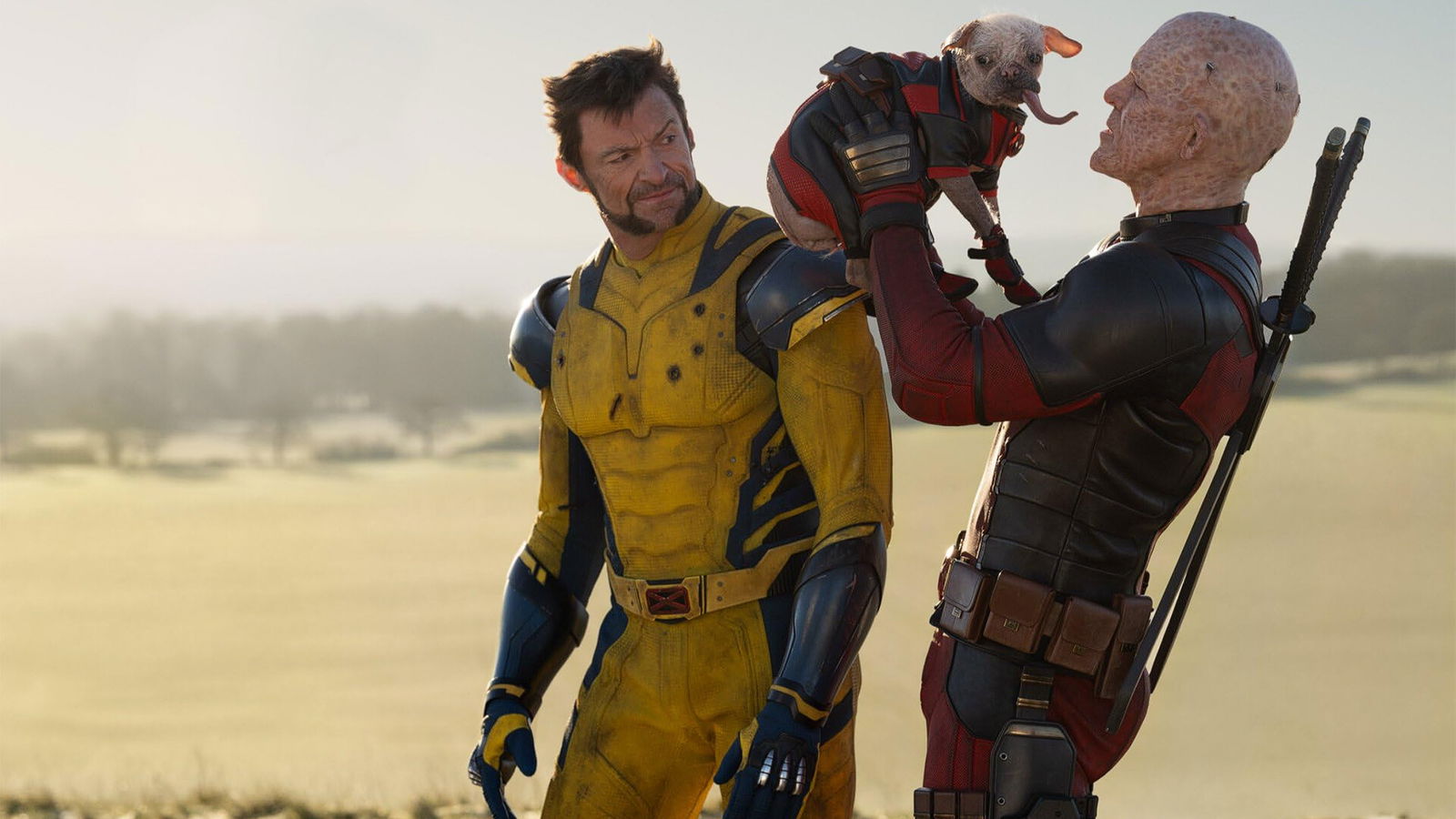 Deadpool &Amp; Wolverine Merchandise You Should Check Out! Deadpool &Amp; Wolverine Merch That Are Worth Getting!