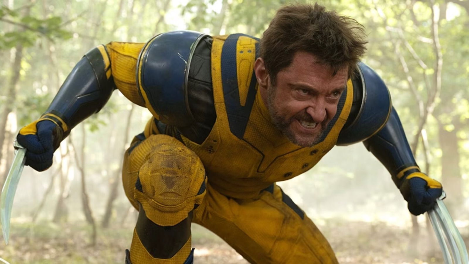 Deadpool &Amp; Wolverine Slash R-Rating Record With $205 Million Opening Deadpool &Amp; Wolverine Slash R-Rating Record With $205 Million 2