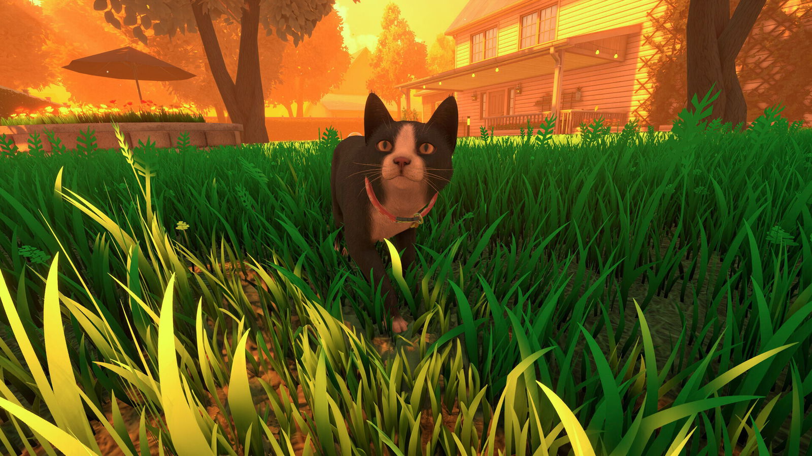 Copycat (Pc) Review