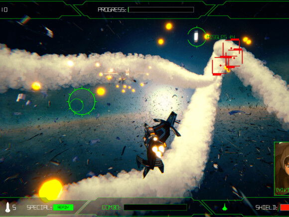 Rogue Flight