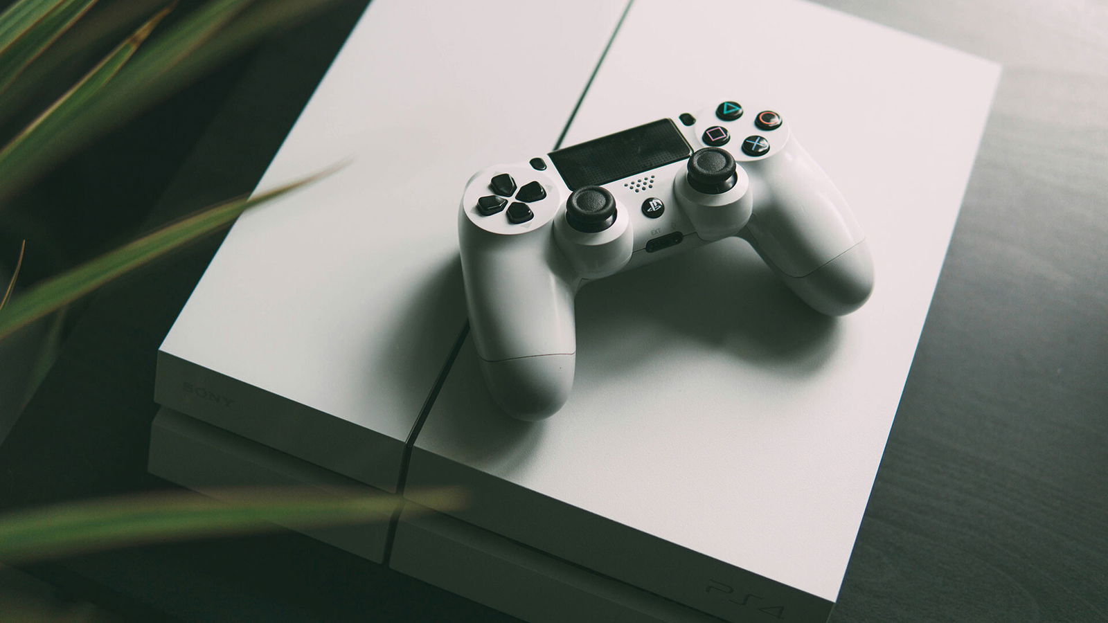 Traditional Gamers Vs. Crypto Enthusiasts: The Diverging Appeal Of Blockchain Games Traditional Gamers Vs. Crypto Enthusiasts: The Diverging Appeal Of Blockchain Games