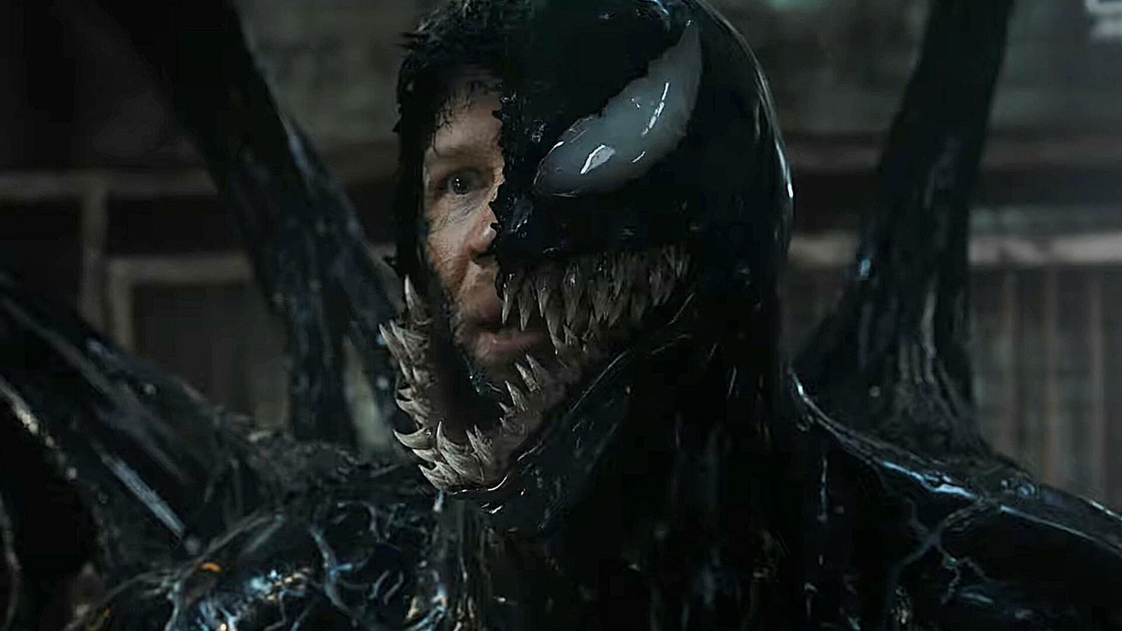 Venom: The Last Dance Review