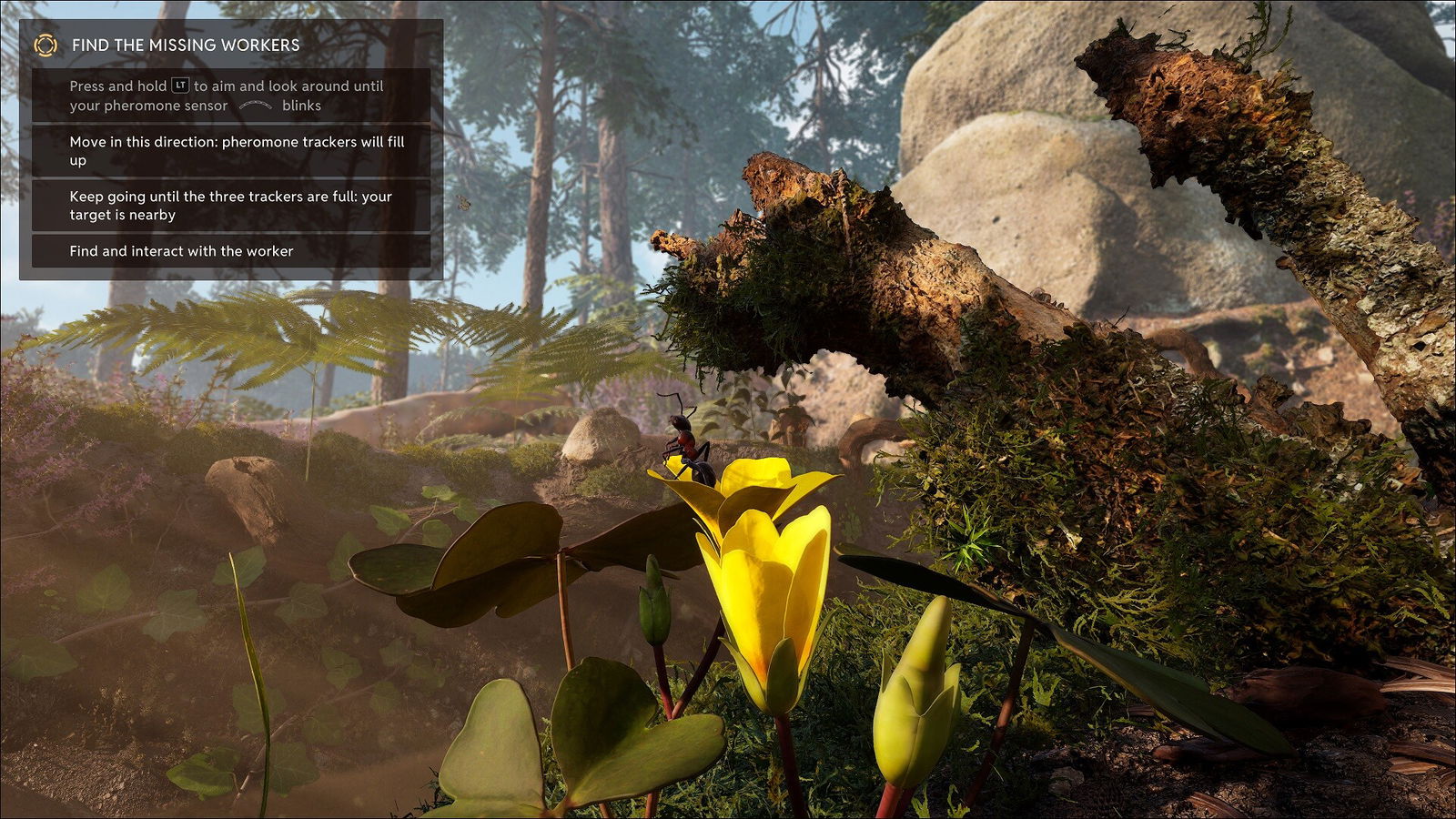 Empire Of The Ants (Pc) Review