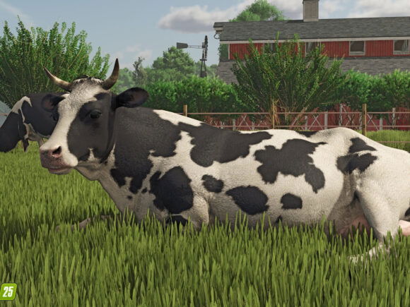 Farming Simulator 25