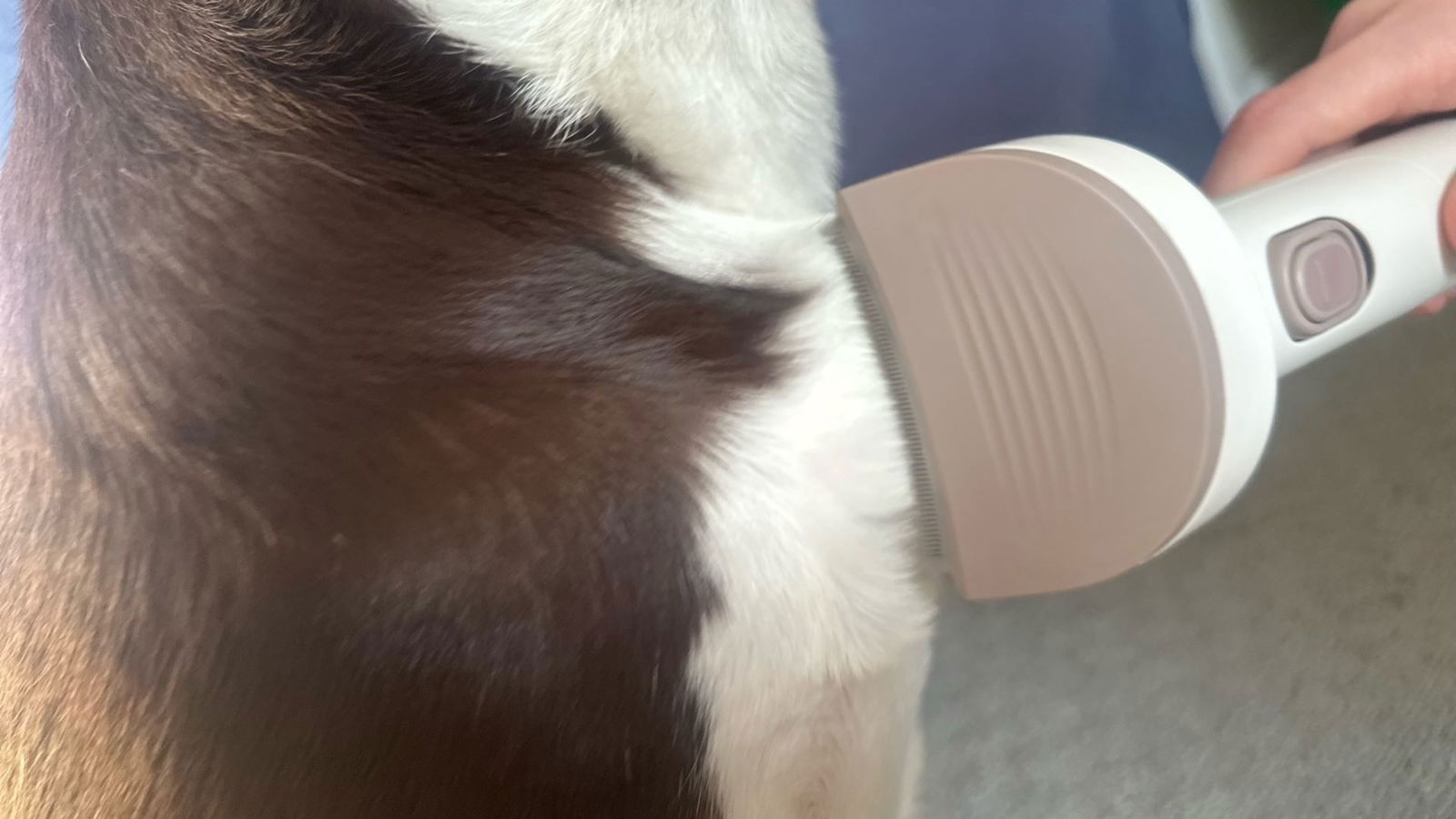 Redroad P17 Pet Groomer and Vacuum Review