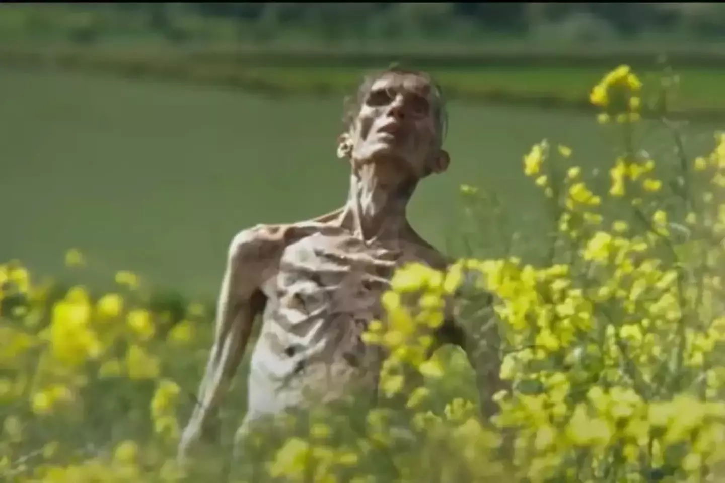 28 Years Later Dropped A Spine-Tingling Teaser, Complete With Zombie Cillian Murphy
