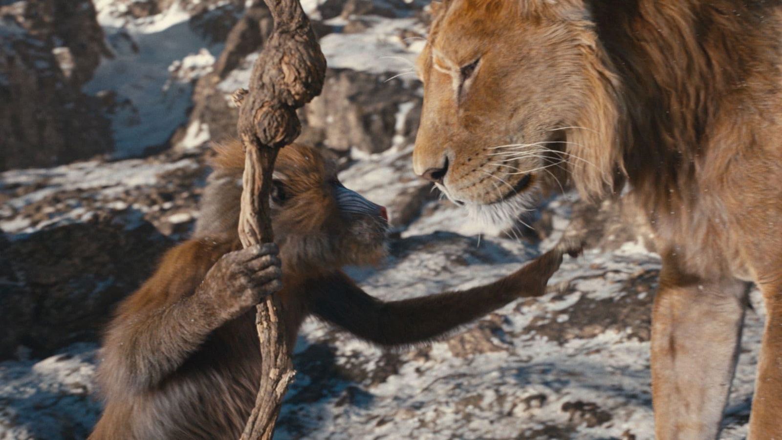 Mufasa: The Lion King Review Mufasa: The Lion King Review