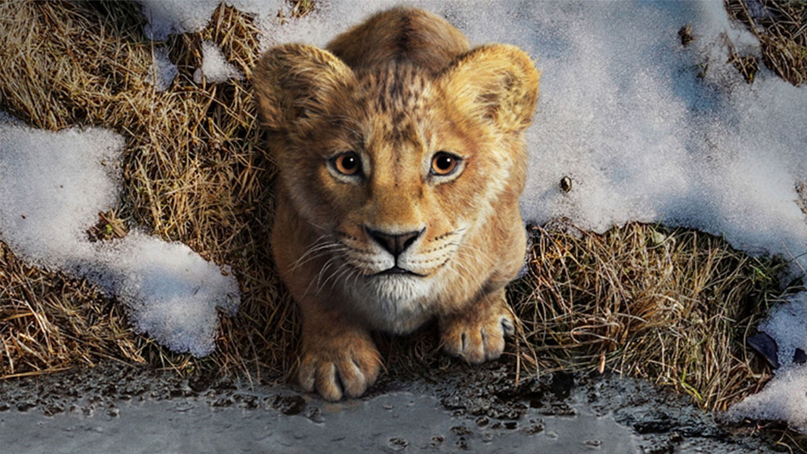 Mufasa: The Lion King Review Mufasa: The Lion King Review