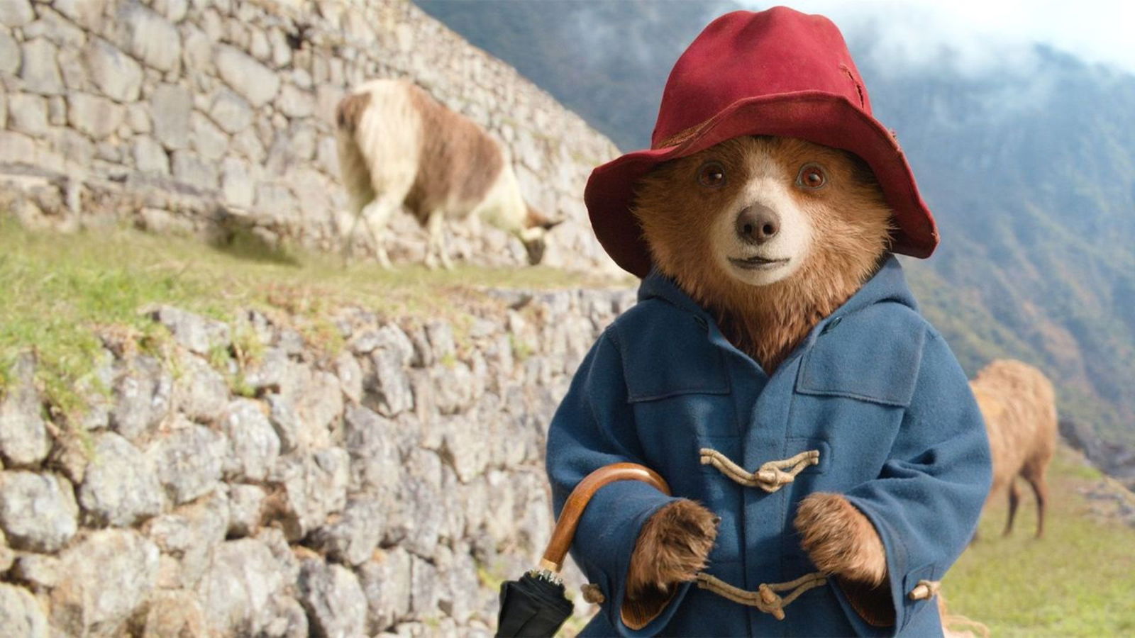 Paddington In Peru (2025) Review Paddington In Peru (2025) Review