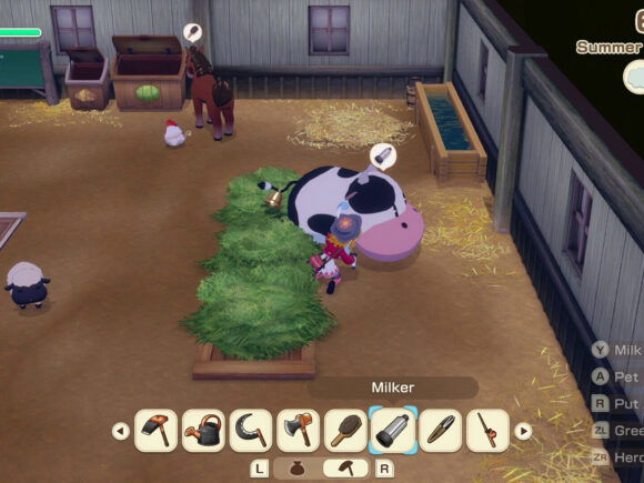 Story of Seasons: Grand Bazaar