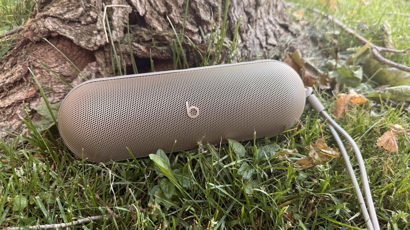 Cgm Recommends: Dads &Amp; Grads Gifts 2025
