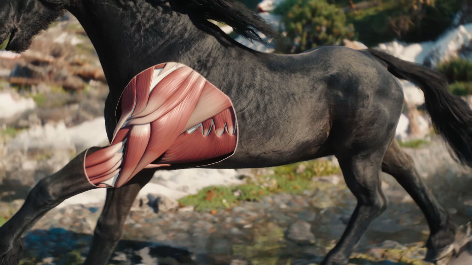 The Witcher 4 Debuts Stunning Unreal Engine 5.6 Tech Demo At Unreal Fest 2025 State Of Unreal 2025: The Witcher 4 Tech Demo Reveals A New Region With New Unreal Tech