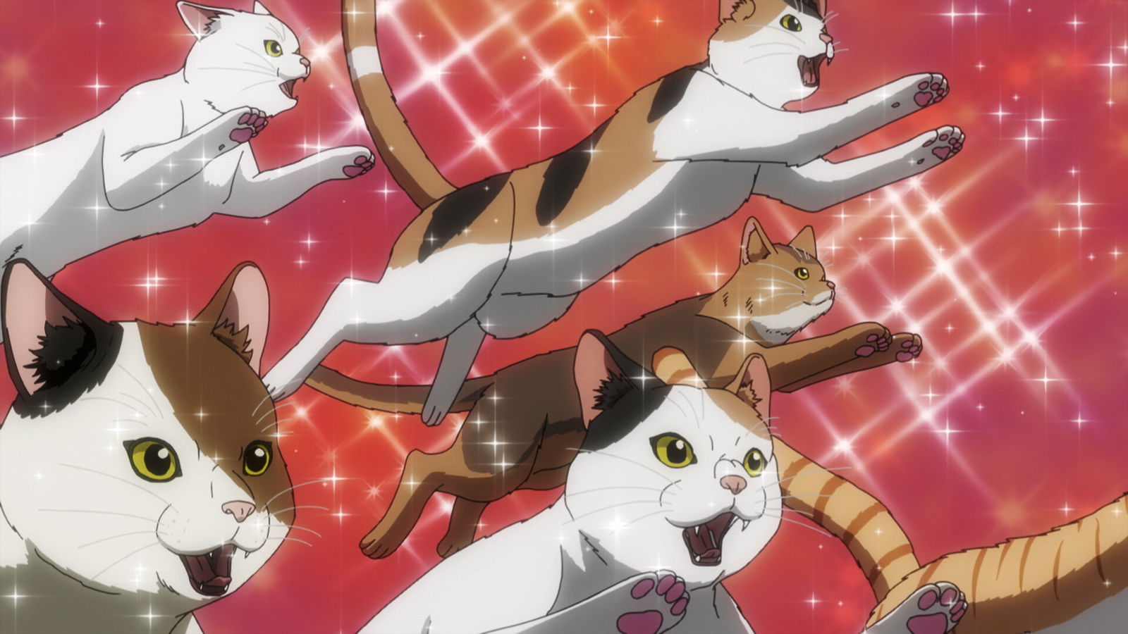 Nyaight Of The Living Cat Episode 1 Review