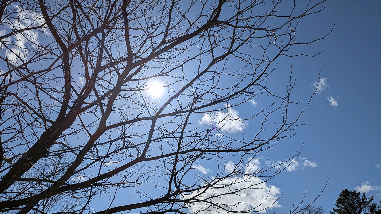 Realme Gt 7 Smartphone Review