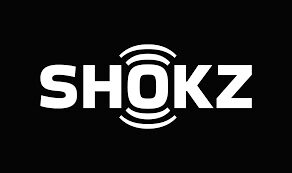 Shokz OpenDots One Review