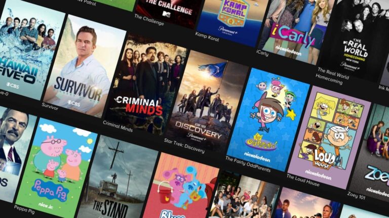 The Great Content Clutter: Choosing What to Watch in the Age of Too Much