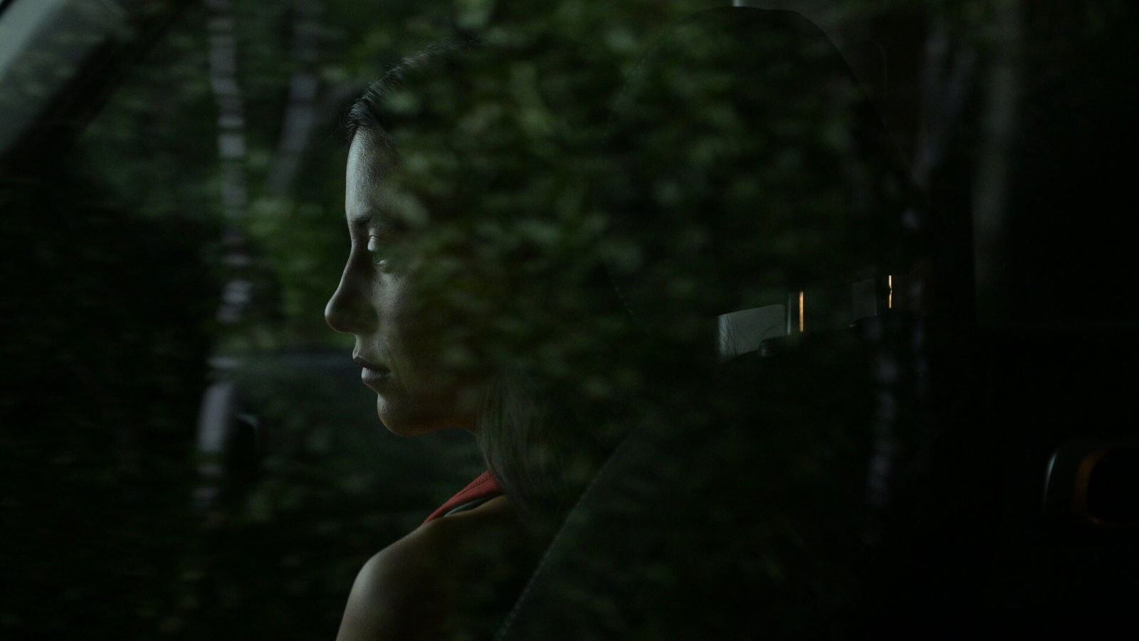 Blood Lines Review — Tiff 2025 Blood Lines Review — Tiff 2025