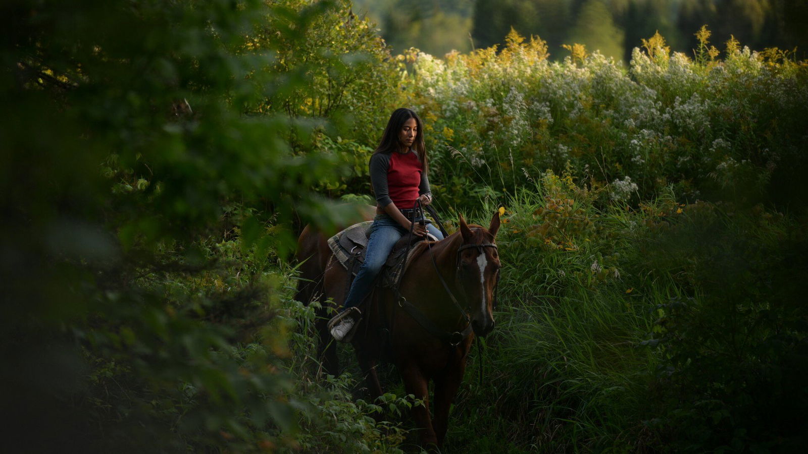 Blood Lines Review — Tiff 2025 Blood Lines Review — Tiff 2025