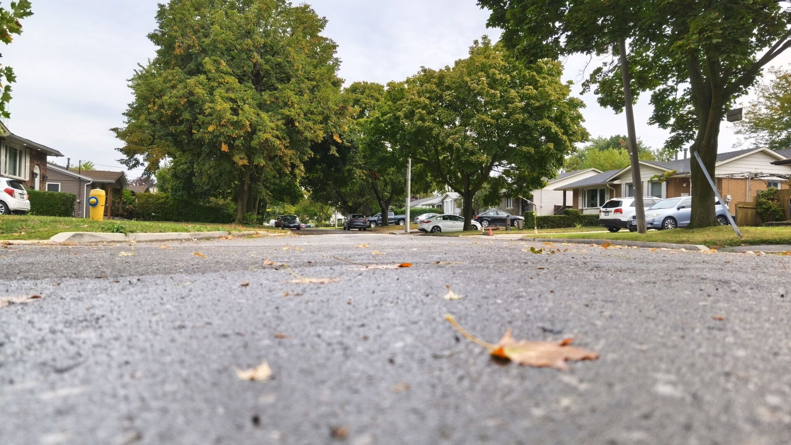 Xiaomi 15T Smartphone Review Xiaomi 15T Smartphone Review