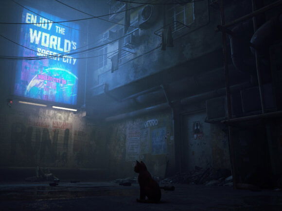 Stray