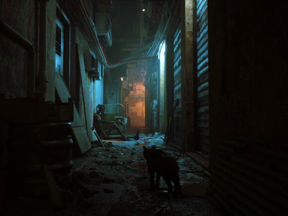 Stray