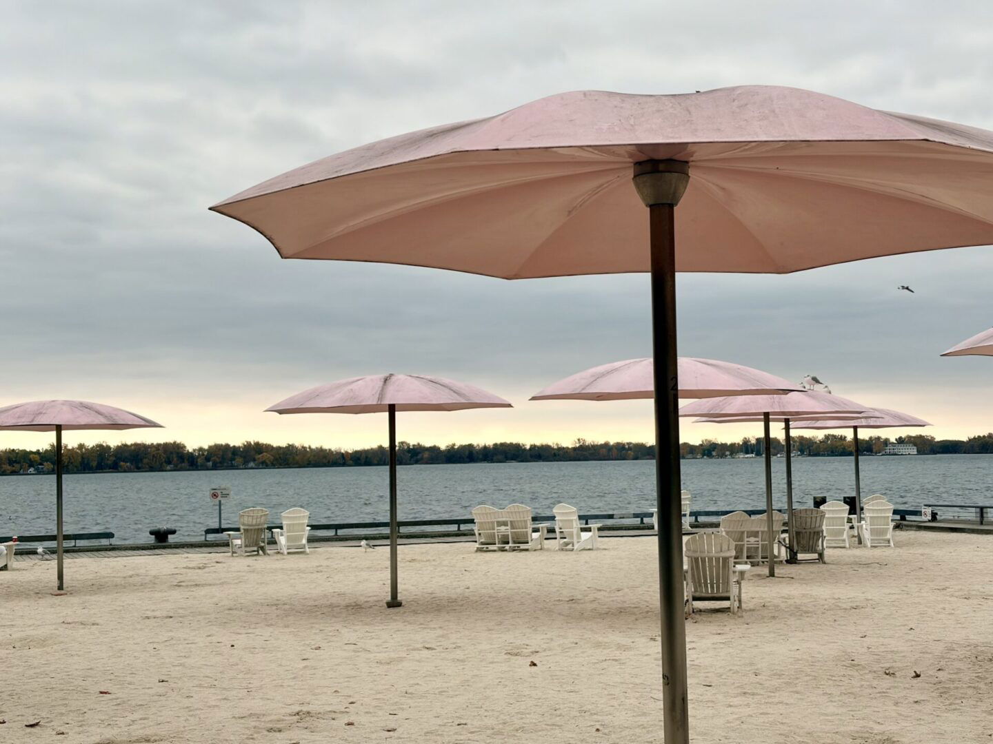 Apple Iphone 17 Smartphone Review Apple Iphone 17 Smartphone Review