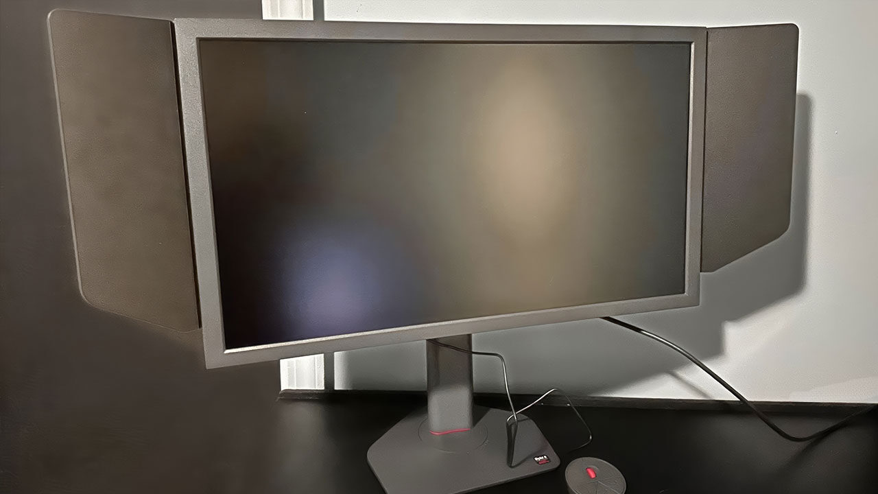 Benq Zowie Xl2566X+ Gaming Monitor Review