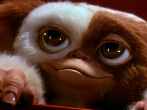 Gremlins 3 is Officially in the Works!