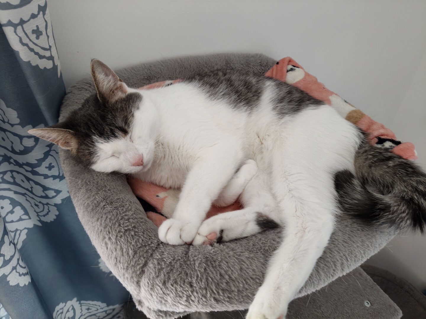 Infinix Gt 30 Smartphone Review Infinix Gt 30 Smartphone Review