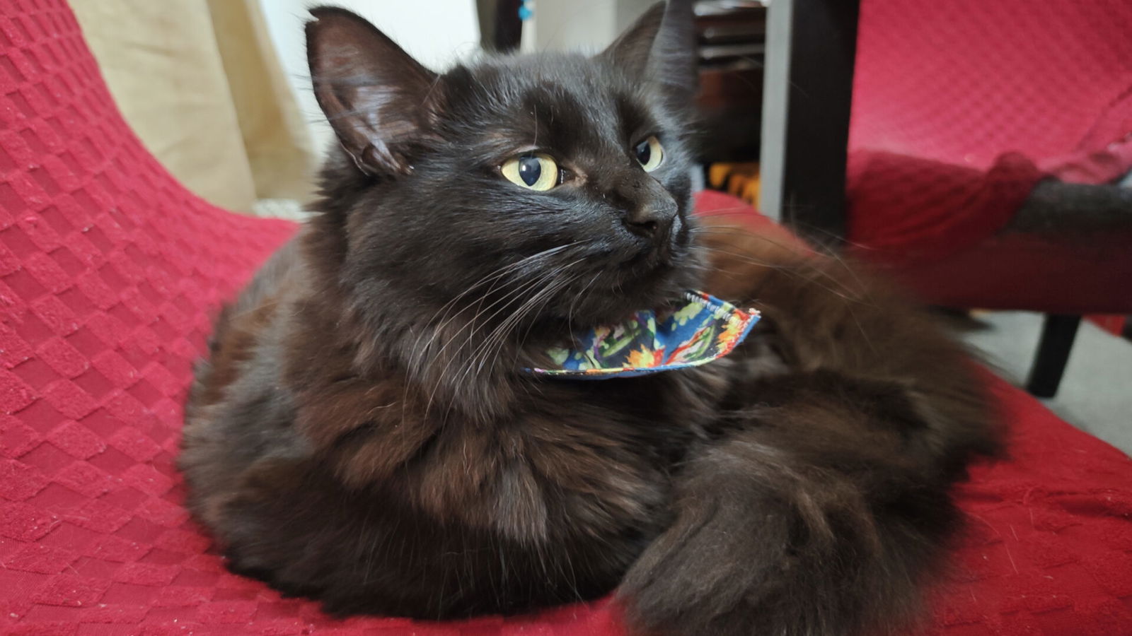 Poco F8 Pro Smartphone Review